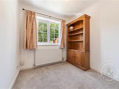 Picture 20